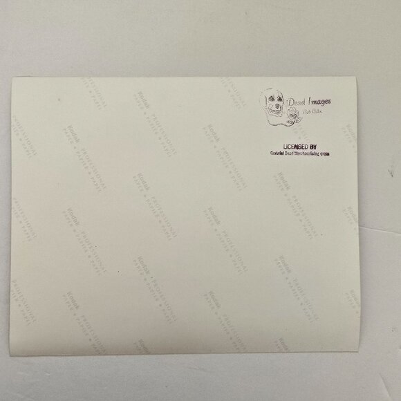 Grateful Dead Licensed Rob Cohn Photograph Of Phil Lesh Playing Bass Guitar - Picture 6 of 14